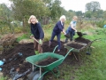 Allotment holders