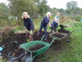 Allotment holders