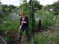 Allotment holder