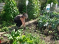 Allotment holder