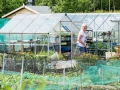 Allotment holder