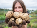 Proud spud grower