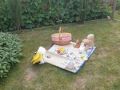 picnic_1