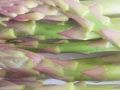 asparagus_1